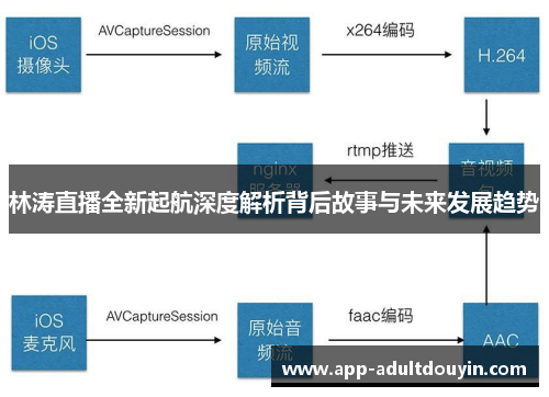 林涛直播全新起航深度解析背后故事与未来发展趋势